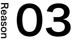 reason03