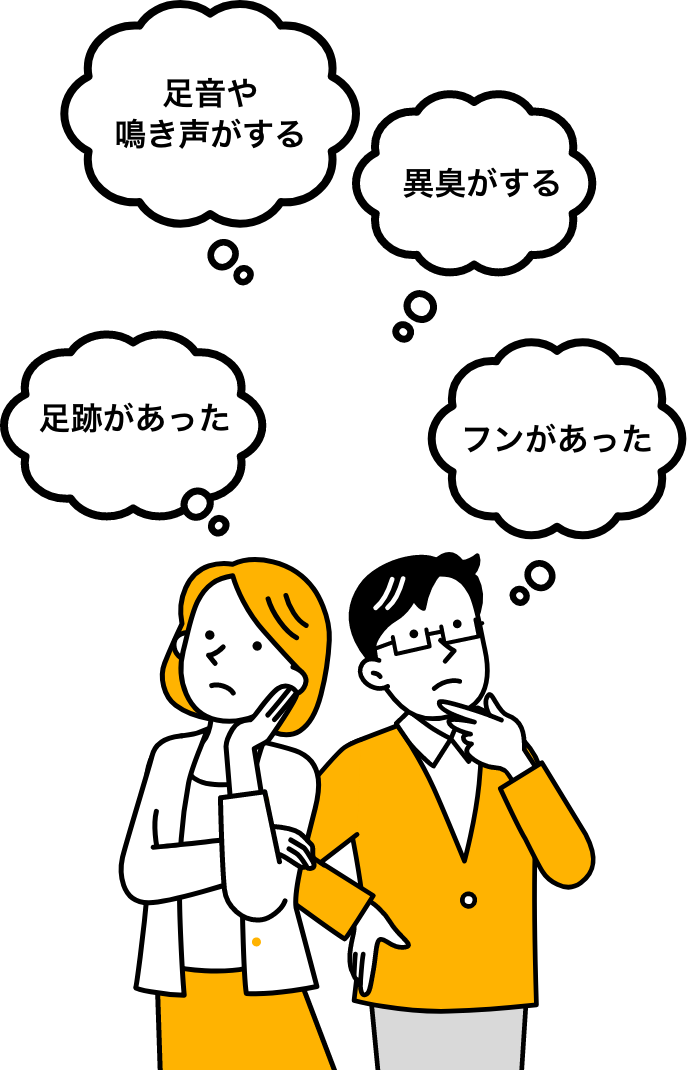 足跡があった足音や鳴き声がする異臭がするフンがあった